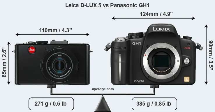 Size Leica D-LUX 5 vs Panasonic GH1