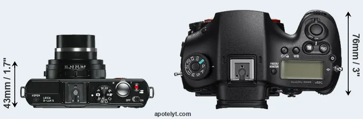 Compare D-LUX 5 versus A99 II top