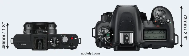 Compare D-LUX 6 versus D7500 top
