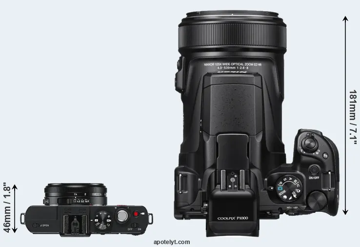 Compare D-LUX 6 versus P1000 top