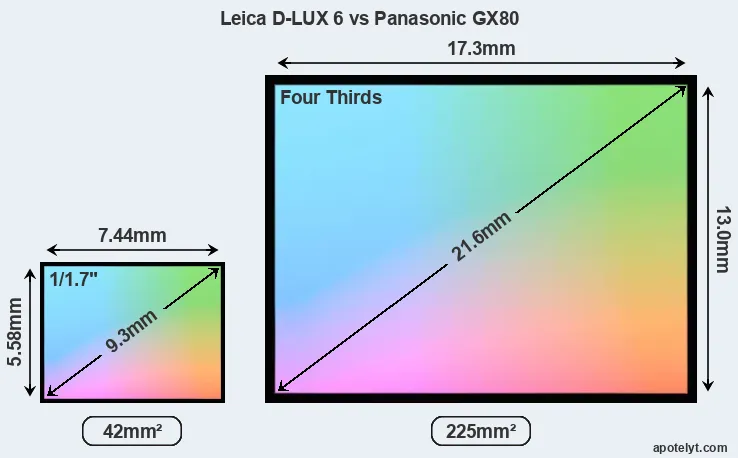 Leica D-LUX 6 and Panasonic GX80 sensor measures