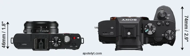 Compare D-LUX 6 versus A7 III top