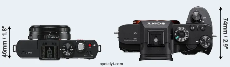 Compare D-LUX 6 versus A7R III top