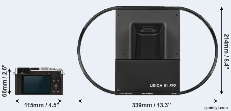 Comparison D-LUX 7 or S1 rear