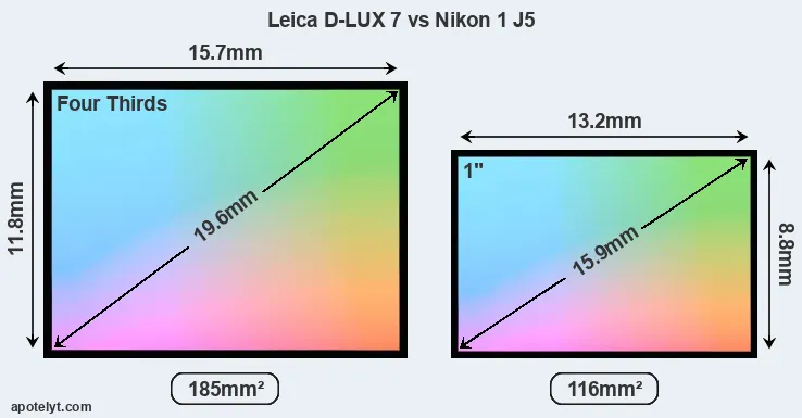 Leica D-LUX 7 and Nikon 1 J5 sensor measures