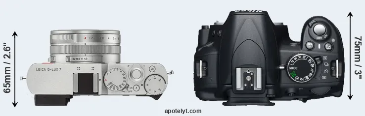 Compare D-LUX 7 versus D3100 top