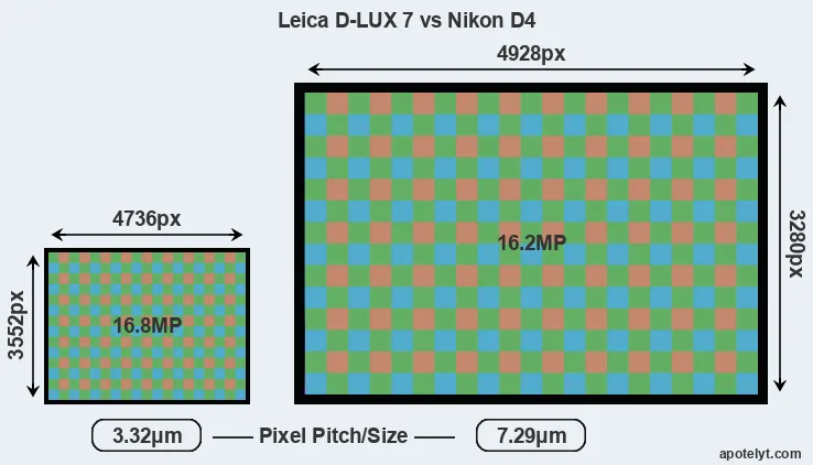 D-LUX 7 versus D4 MP