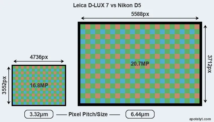 D-LUX 7 versus D5 MP