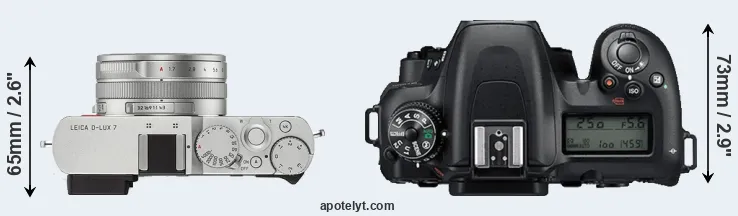 Compare D-LUX 7 versus D7500 top