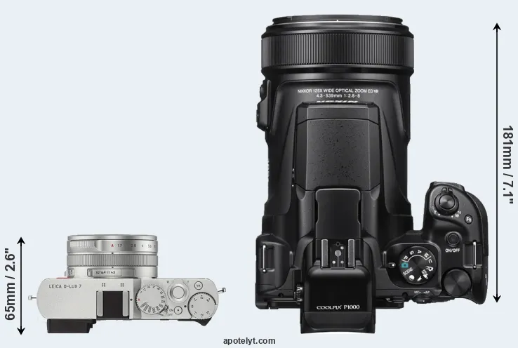 Compare D-LUX 7 versus P1000 top