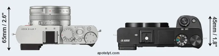 Compare D-LUX 7 versus A6000 top