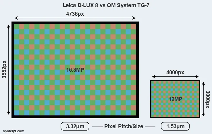 D-LUX 8 versus TG-7 MP