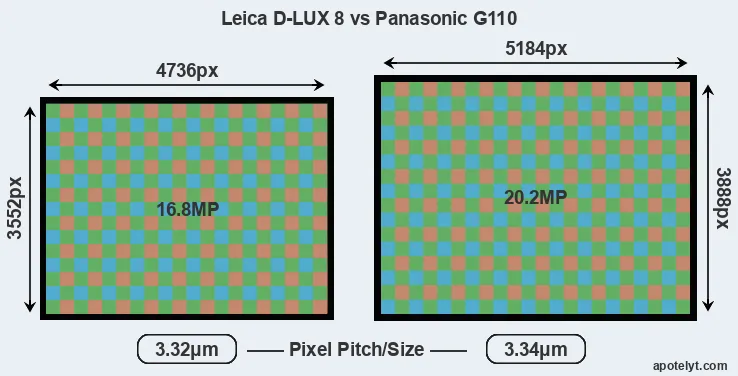 D-LUX 8 versus G110 MP