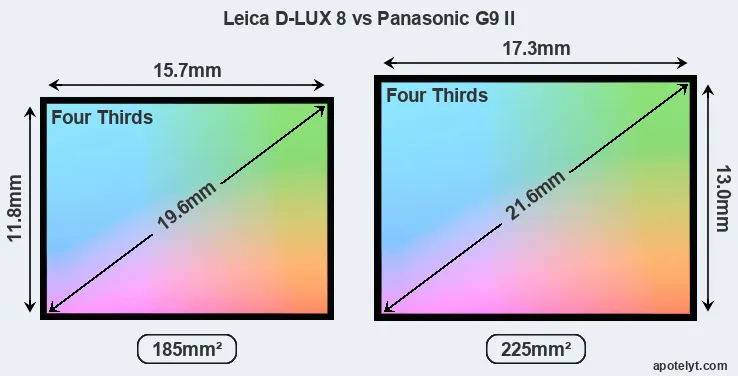 Leica D-LUX 8 and Panasonic G9 II sensor measures