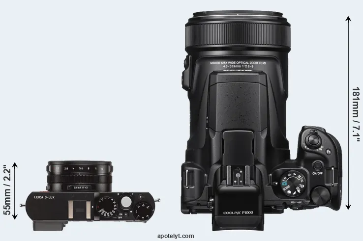 Compare D-LUX Typ 109 versus P1000 top