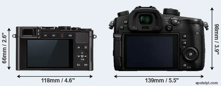Comparison D-LUX Typ 109 or GH5 rear