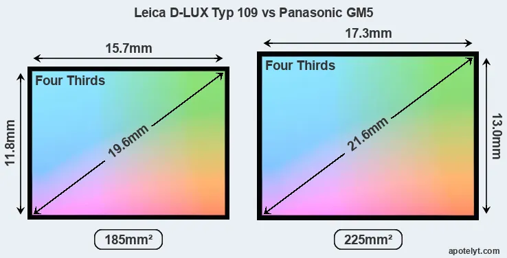 Leica D-LUX Typ 109 and Panasonic GM5 sensor measures