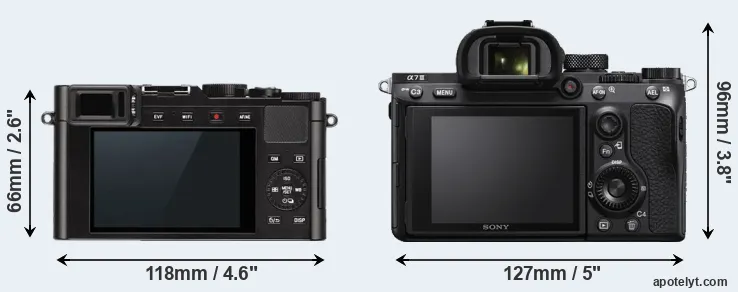 Comparison D-LUX Typ 109 or A7 III rear