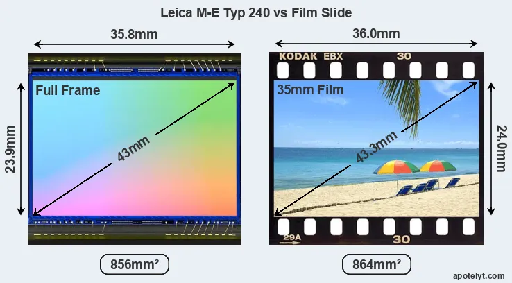 Leica M-E Typ 240 sensor measures