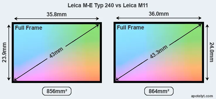 Leica M-E Typ 240 and Leica M11 sensor measures