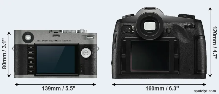 Comparison M-E Typ 240 or S Typ 006 rear