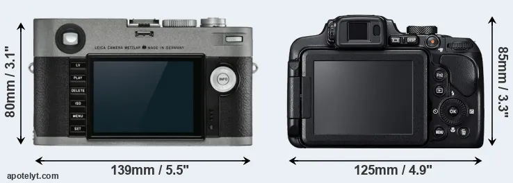 Comparison M-E Typ 240 or B700 rear