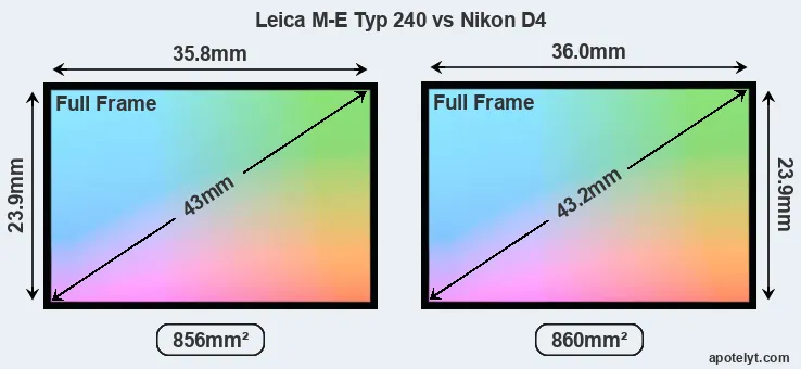 Leica M-E Typ 240 and Nikon D4 sensor measures
