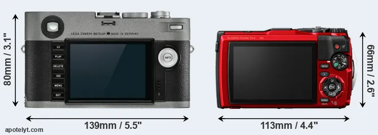 Comparison M-E Typ 240 or TG-6 rear