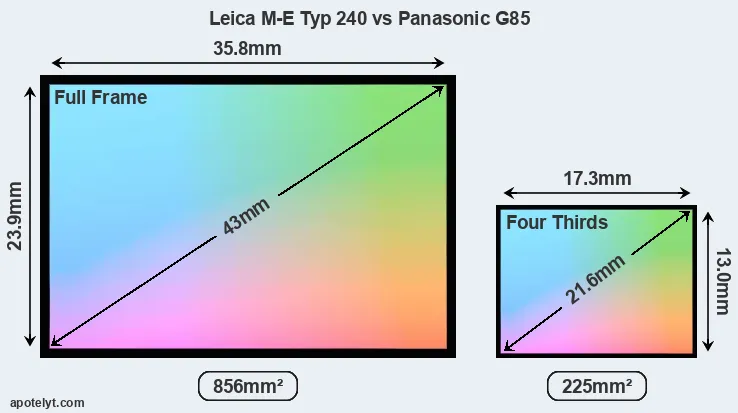 Leica M-E Typ 240 and Panasonic G85 sensor measures