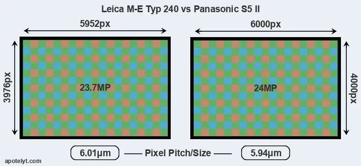 M-E Typ 240 versus S5 II MP