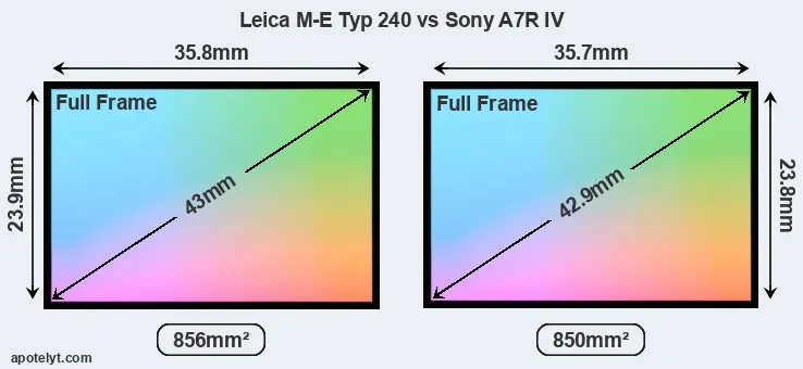 Leica M-E Typ 240 and Sony A7R IV sensor measures