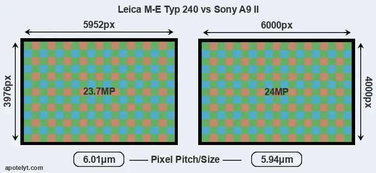 M-E Typ 240 versus A9 II MP