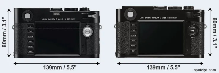 Comparison M Typ 240 or M Typ 262 rear