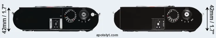 Compare M Typ 240 versus M Typ 262 top