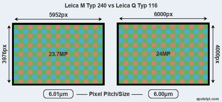M Typ 240 versus Q Typ 116 MP