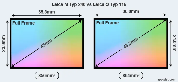 Leica M Typ 240 and Leica Q Typ 116 sensor measures