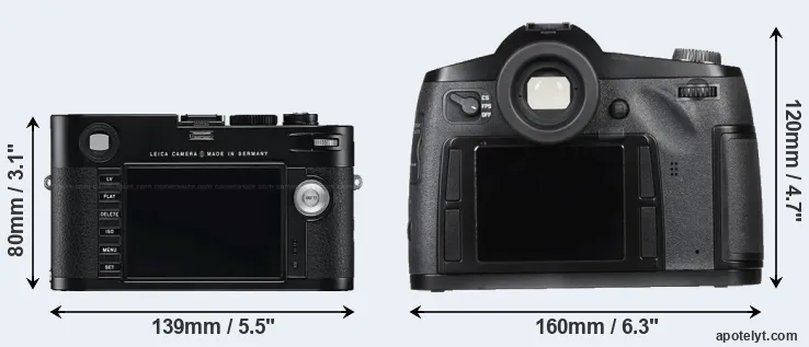 Comparison M Typ 240 or S Typ 007 rear