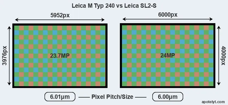 M Typ 240 versus Leica SL2-S MP