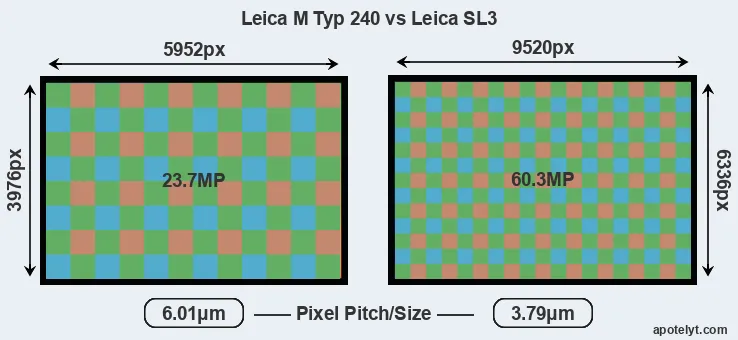 M Typ 240 versus Leica SL3 MP