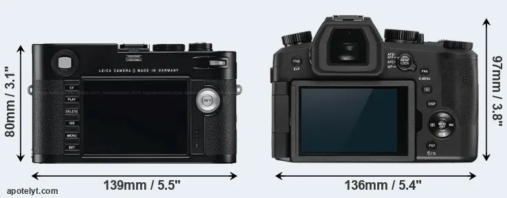 Comparison M Typ 240 or V-LUX 5 rear