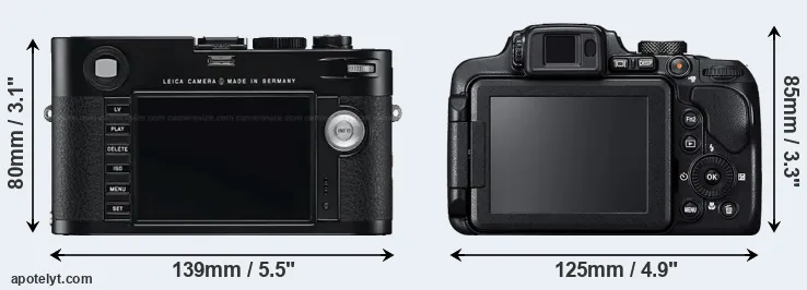 Comparison M Typ 240 or B700 rear
