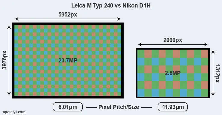M Typ 240 versus D1H MP