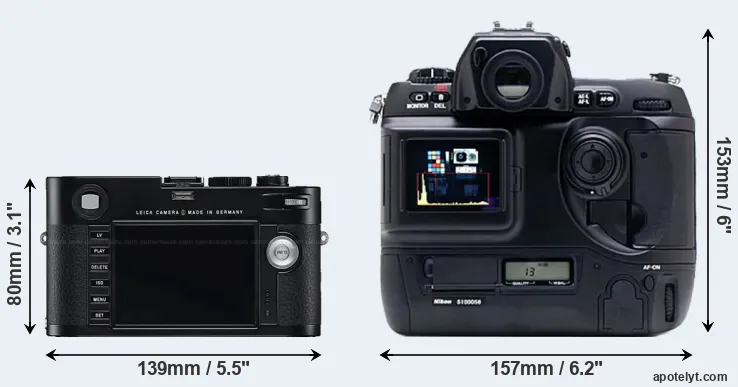 Comparison M Typ 240 or D1X rear