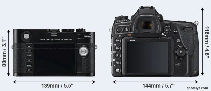 Comparison M Typ 240 or D780 rear