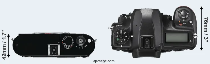 Compare M Typ 240 versus D780 top