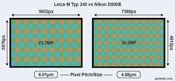 M Typ 240 versus D800E MP