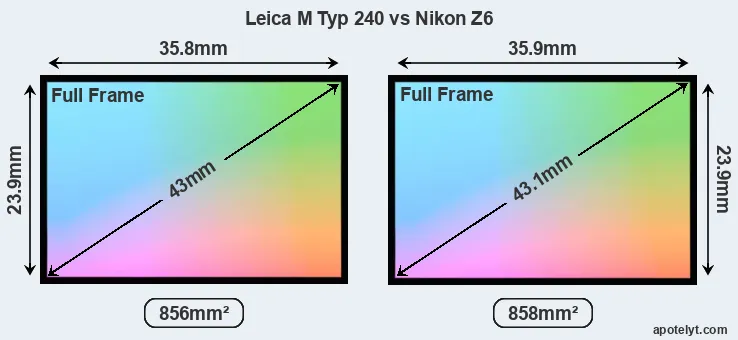 Leica M Typ 240 and Nikon Z6 sensor measures