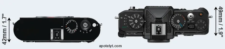 Compare M Typ 240 versus Zf top