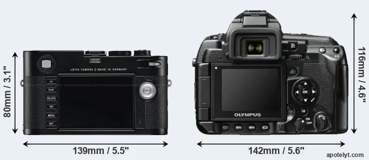 Comparison M Typ 240 or E-3 rear