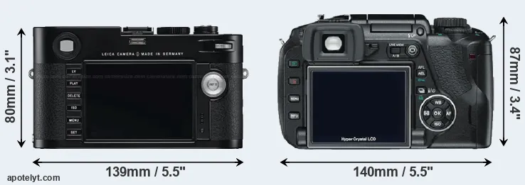 Comparison M Typ 240 or E-330 rear